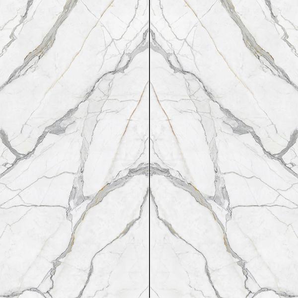 意大利魚肚白（對位通體）